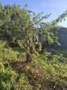 Garden 150 m². - MM.LV - 5