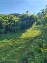 Garden 150 m². - MM.LV - 7
