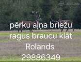 Pērku ragus - MM.LV