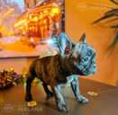 Francu Buldogs - 7 Francu Buldogs - MM.LV - 7