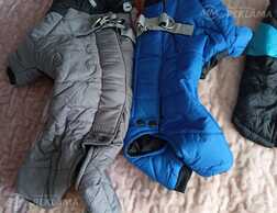 Одежда для собак - MM.LV