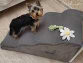 Малышка рада будет найти себе семью. - MM.LV - 1