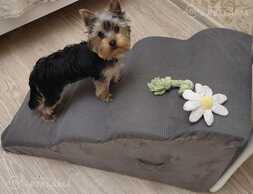 Малышка рада будет найти себе семью. - MM.LV