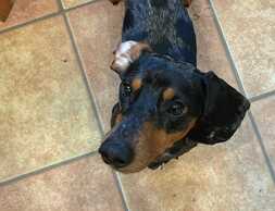 Отдадим - MM.LV