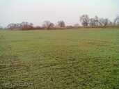 Land property in Rezekne and district. - MM.LV - 4