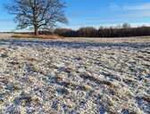 ZGabali uz nomu Madonas novadā - MM.LV - 1