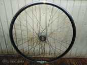 Spectro P5 rats - MM.LV - 1