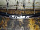 Spectro P5 rats - MM.LV - 2