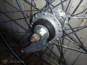 Spectro P5 rats - MM.LV - 4