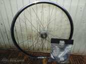 Spectro P5 rats - MM.LV - 5