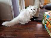 белая девушка - MM.LV - 1