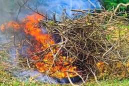 Darbs skolēnam Rēzeknē - MM.LV