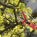 Darbs skolēnam Rēzeknē - MM.LV - 11