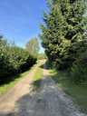 Land property in Riga district, Plakanciems. - MM.LV - 12