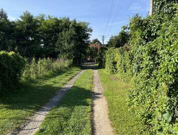 Land property in Riga district, Olaine. Land property in Riga district, Olaine. - MM.LV