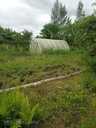 Огород . - MM.LV - 2