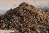 Mēslojums - MM.LV - 1