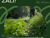 Zales pļaušan Aizkraukles novadā - MM.LV - 1