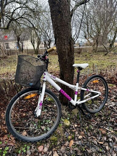Meiteņu velosipeds - MM.LV