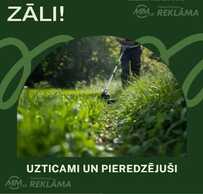 Zales pļaušan Aizkraukles novadā - MM.LV
