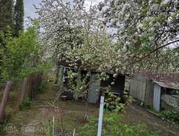 Garden 300 m². - MM.LV