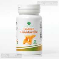 Golden Chantarelle - MM.LV