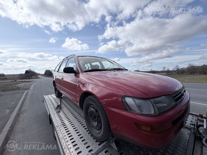 Toyota Corolla. - MM.LV