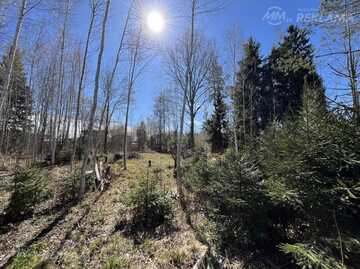 Land property in Riga district, Olaine. - MM.LV