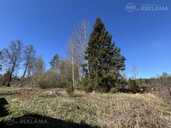 Land property in Riga district, Olaine. - 2 Land property in Riga district, Olaine. - MM.LV - 2