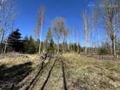 Land property in Riga district, Olaine. - 4 Land property in Riga district, Olaine. - MM.LV - 4