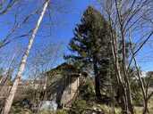 Land property in Riga district, Olaine. - 6 Land property in Riga district, Olaine. - MM.LV - 6