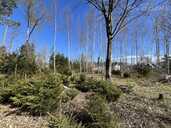Land property in Riga district, Olaine. - 7 Land property in Riga district, Olaine. - MM.LV - 7