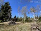 Land property in Riga district, Olaine. - 8 Land property in Riga district, Olaine. - MM.LV - 8