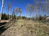 Land property in Riga district, Olaine. - 9 Land property in Riga district, Olaine. - MM.LV - 9