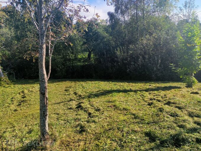 Pļaušanas pakalpojumi un meža darbi: 25 EUR/h par divu vīru komandu Pļaušanas pakalpojumi un meža darbi: 25 EUR/h par divu vīru komandu - MM.LV