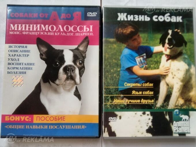 Dvd - MM.LV