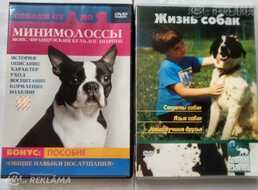 Dvd - MM.LV