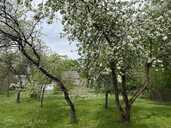 Land property in Riga district, Sigulda. - MM.LV - 8
