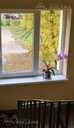 Apartment in Riga district, Olaine, 30 м², 1 rm., 4 floor. - 3 Apartment in Riga district, Olaine, 30 м², 1 rm., 4 floor. - MM.LV - 3