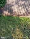 Land property in Riga district, Salaspils. - 2 Land property in Riga district, Salaspils. - MM.LV - 2