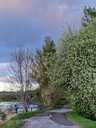 Land property in Riga, Bukulti. - 3 Land property in Riga, Bukulti. - MM.LV - 3