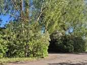 Land property in Riga, Bukulti. - 6 Land property in Riga, Bukulti. - MM.LV - 6