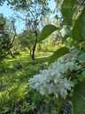Land property in Riga, Bukulti. - 7 Land property in Riga, Bukulti. - MM.LV - 7