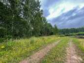 Exclusive Scenic Property with Mature Forest in Rāzna National Park - 6 Exclusive Scenic Property with Mature Forest in Rāzna National Park - MM.LV - 6