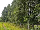 Exclusive Scenic Property with Mature Forest in Rāzna National Park - 8 Exclusive Scenic Property with Mature Forest in Rāzna National Park - MM.LV - 8