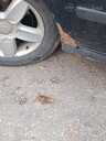 Seat Alhambra, 2007/Март, 340 км, 2.0 л.. - MM.LV - 4