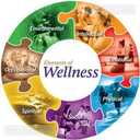 Дополнительный доход в сфере Wellness & Зож - 4 Дополнительный доход в сфере Wellness & Зож - MM.LV - 4