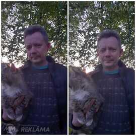 Sveikas dāmas. - MM.LV