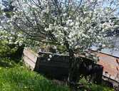 House Riga district, Medemciems, 24 m², 1 fl., 1 rm.. House Riga district, Medemciems, 24 m², 1 fl., 1 rm.. - MM.LV - 1