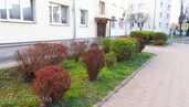 Pārdod silto dzīvokli Renovētā mājā Jelgavā. - MM.LV - 2